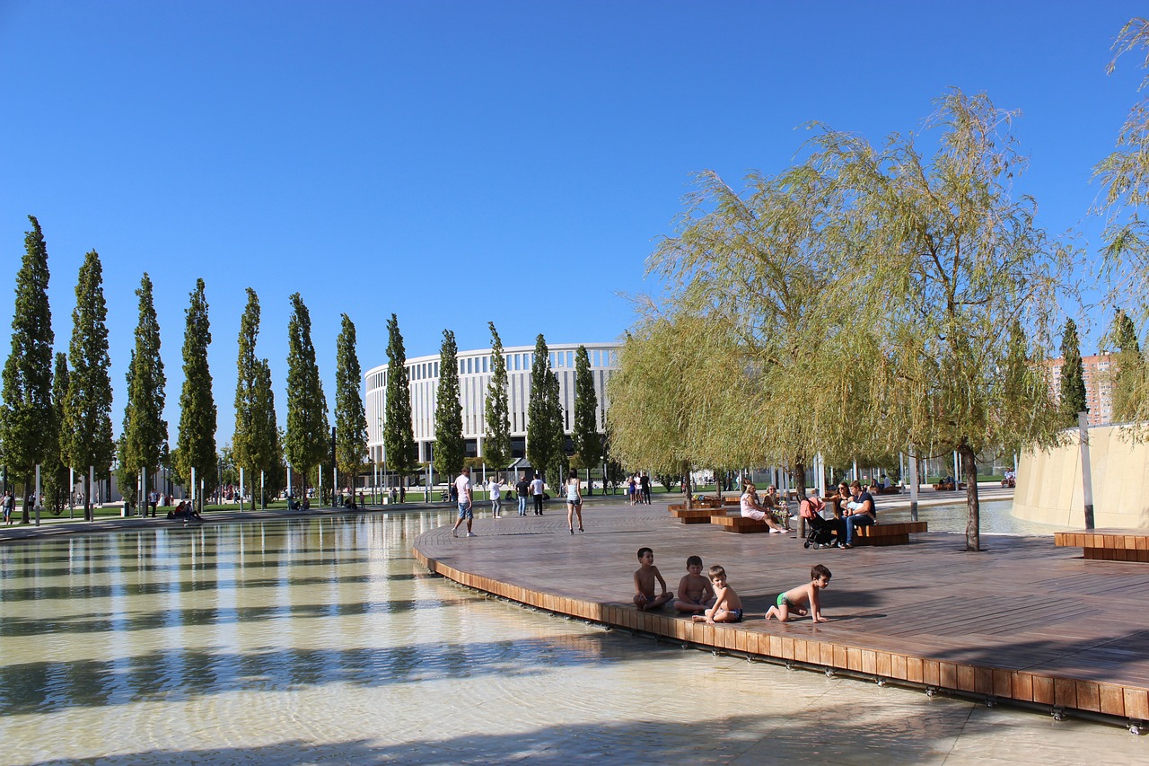 仅引起了球 仅引起了球