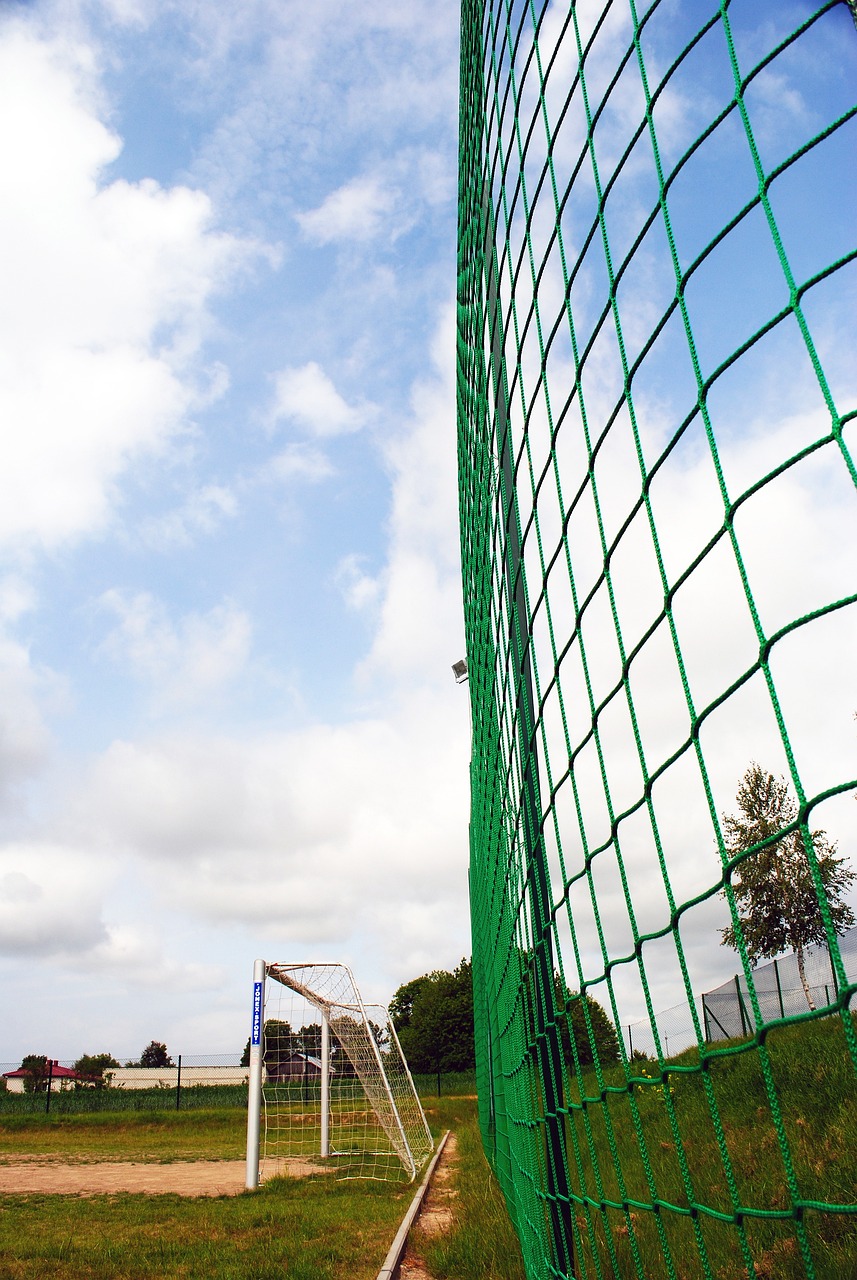 胡明軒是 胡明軒是