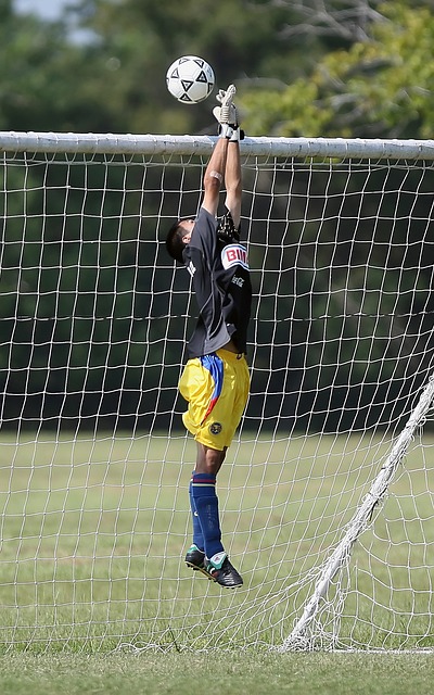 鹿队在进攻 鹿队在进攻