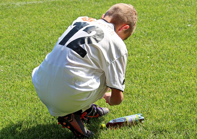 升贡献了力 升贡献了力