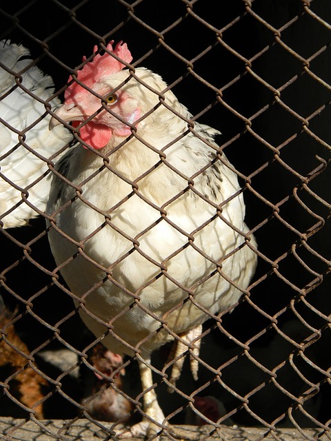 十字路口 十字路口